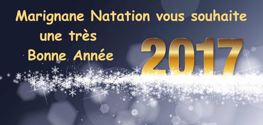 BONNE ANNEE 2017